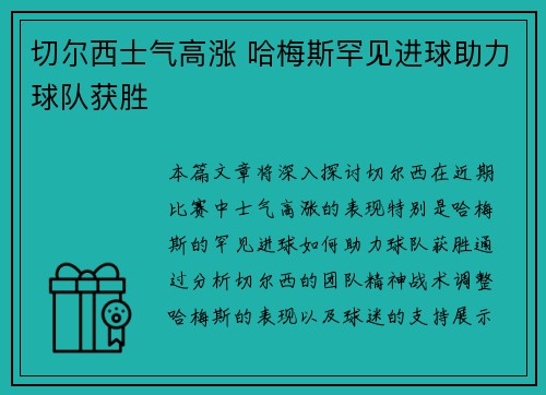 切尔西士气高涨 哈梅斯罕见进球助力球队获胜