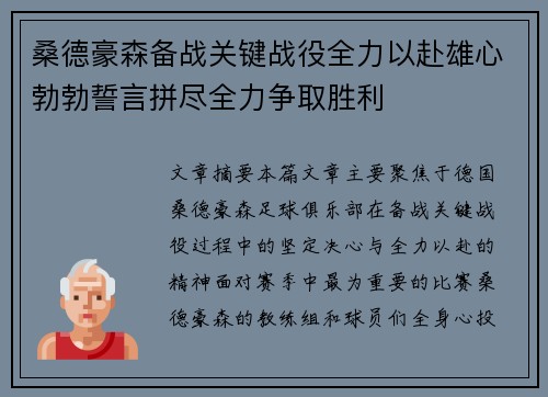 桑德豪森备战关键战役全力以赴雄心勃勃誓言拼尽全力争取胜利