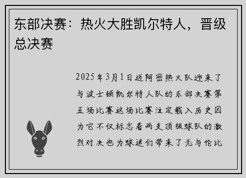 东部决赛：热火大胜凯尔特人，晋级总决赛