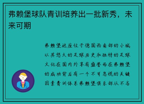 弗赖堡球队青训培养出一批新秀，未来可期