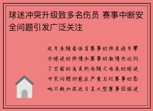 球迷冲突升级致多名伤员 赛事中断安全问题引发广泛关注